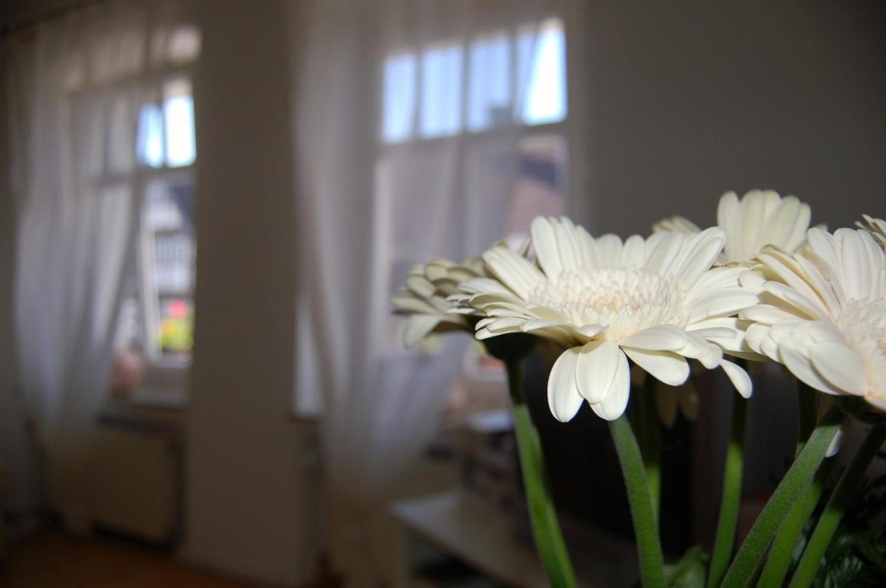 Cafe Cup Detmold